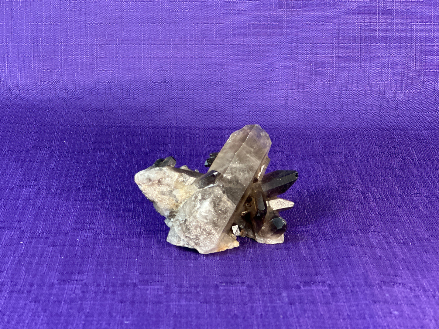 Smoky Quartz Cluster | 2-3" Natural Smoky Quartz Crystals