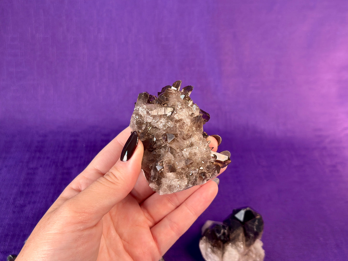 Smoky Quartz Cluster | 2-3" Natural Smoky Quartz Crystals