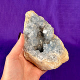 Celestite Polished Cluster, Celestite Geode Free Shape w. Druse, Standing Celestite Healing Crystal