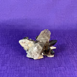 Smoky Quartz Cluster | 2-3" Natural Smoky Quartz Crystals
