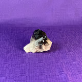 Smoky Quartz Cluster | 2-3" Natural Smoky Quartz Crystals