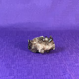 Smoky Quartz Cluster | 2-3" Natural Smoky Quartz Crystals