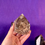 Smoky Quartz Top Polished Rough Point — Standing Smoky Quartz Crystal with Cut Base