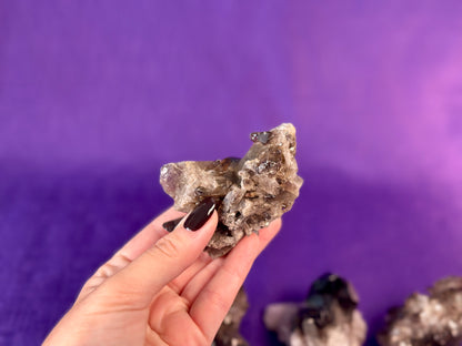 Smoky Quartz Cluster | 2-3" Natural Smoky Quartz Crystals