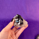 Smoky Quartz Cluster | 2-3" Natural Smoky Quartz Crystals