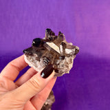 Smoky Quartz Cluster | 2-3" Natural Smoky Quartz Crystals
