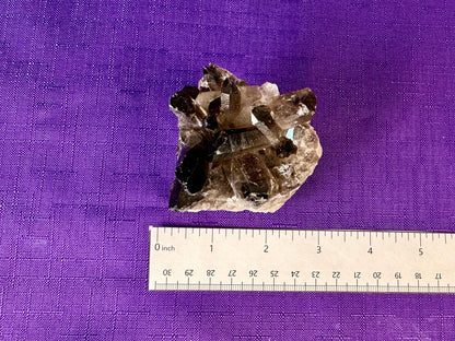 Smoky Quartz Cluster | 2-3" Natural Smoky Quartz Crystals