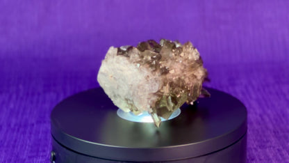 Smoky Quartz Cluster | 2-3" Natural Smoky Quartz Crystals