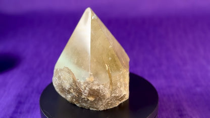 Smoky Quartz Top Polished Rough Point — Standing Smoky Quartz Crystal with Cut Base